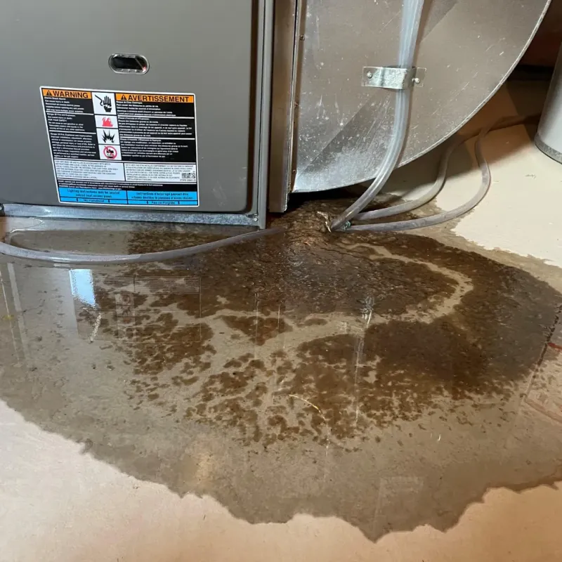 Appliance Leak Cleanup in Driggs, ID